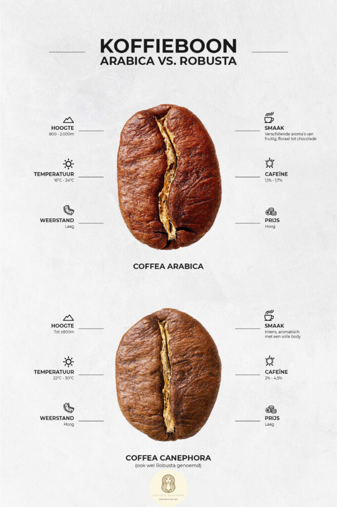 Arabica-vs-Robusta-coffee-goddess